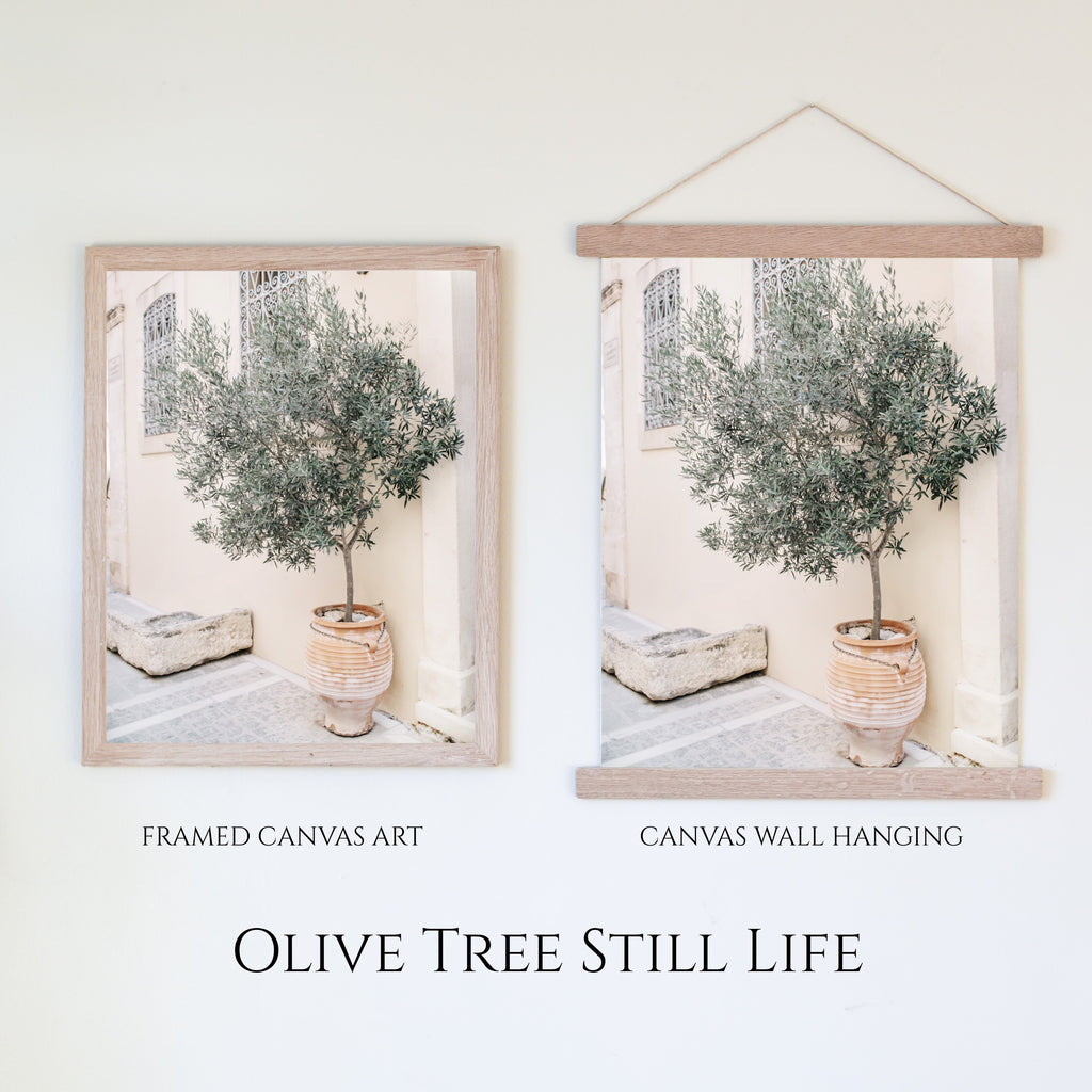 Olive Tree | European Landscape Canvas Art - Aimee Weaver Designs